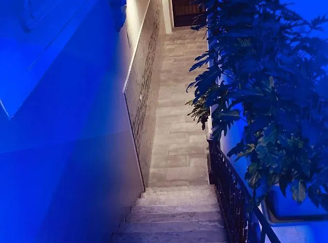 Zu Pippo's House Катания